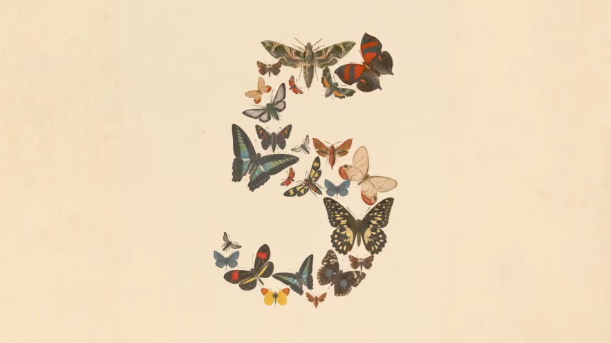 The number five built from several brightly colored butterflies on a pale background.