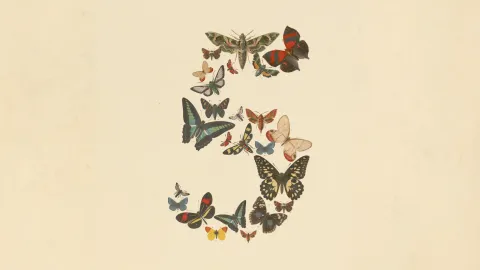 The number five built from several brightly colored butterflies on a pale background.