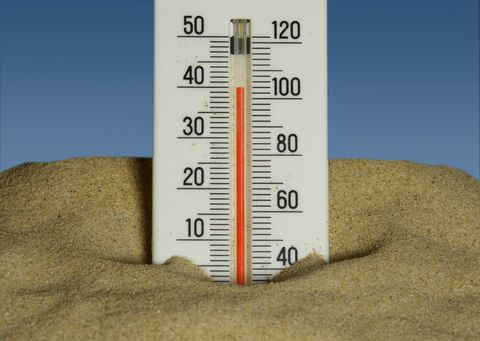 A thermometer stuck in the sand against a blue sky, the mercury climbed toward 40°C.